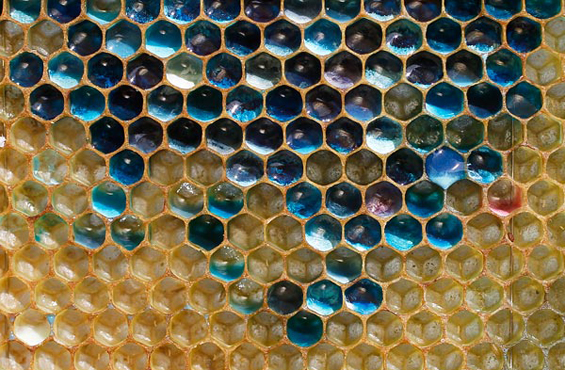 coloured honeycomb