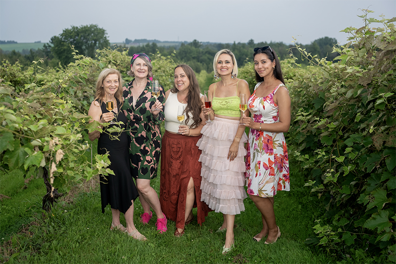 Vignoble Côtes du Gavet